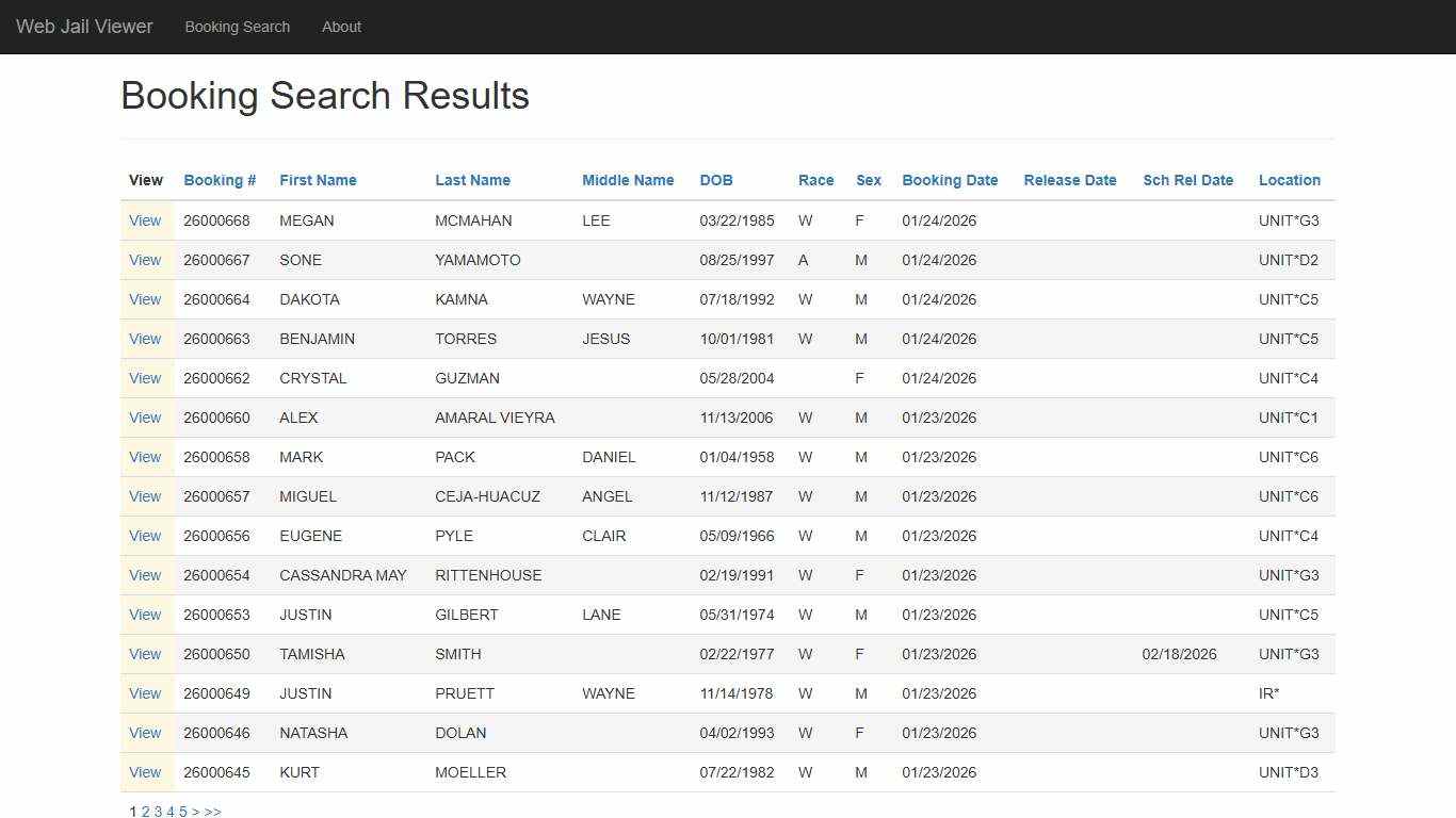 BookingSearchDetail - Web Jail Viewer